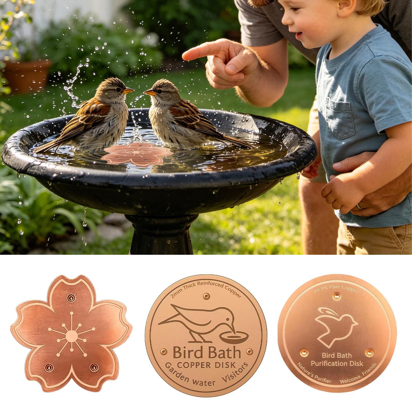 Placa de cobre purificadora se - Watch Es reseña y precio